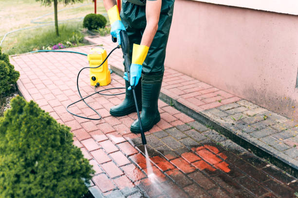 Best Dumpster Area Cleaning  in Lone Pine, CA