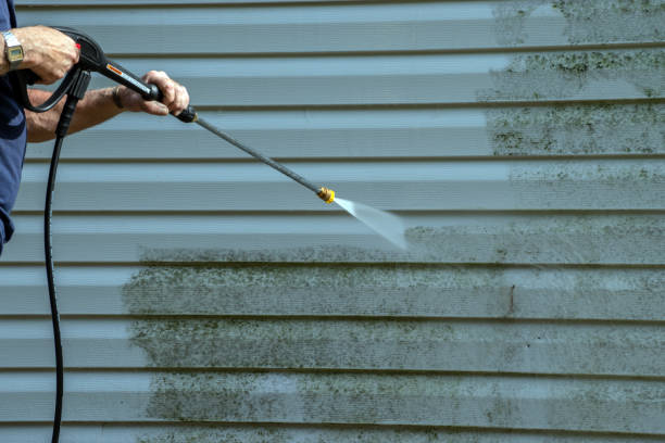 Best Patio and Deck Pressure Washing  in Lone Pine, CA
