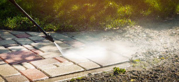 Best Animal Enclosure Cleaning  in Lone Pine, CA